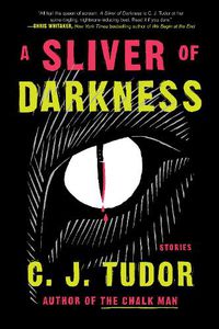 Cover image for A Sliver of Darkness