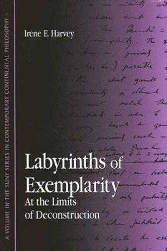 Cover image for Labyrinths of Exemplarity: At the Limits of Deconstruction