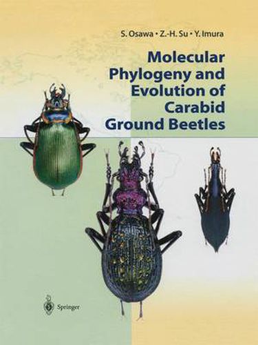 Cover image for Molecular Phylogeny and Evolution of Carabid Ground Beetles