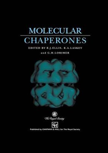 Cover image for Molecular Chaperones