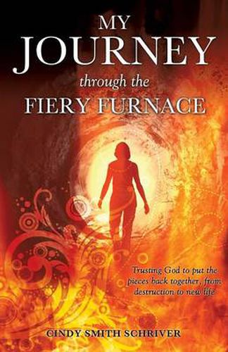 Cover image for My Journey Through the Fiery Furnace