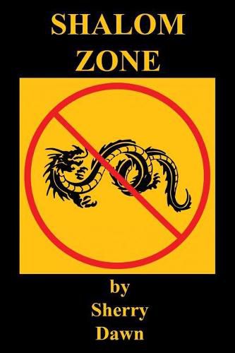 Cover image for Shalom Zone