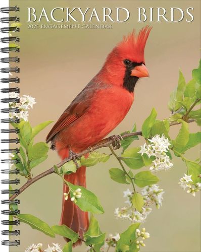 Cover image for Backyard Birds 2026 6.5 X 8.5 Engagement Calendar