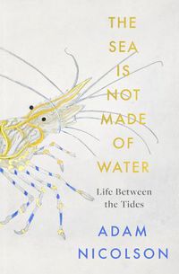 Cover image for The Sea is Not Made of Water: Life Between the Tides