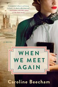 Cover image for When We Meet Again