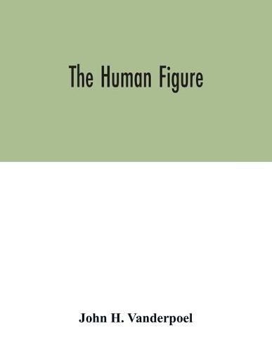 Cover image for The human figure