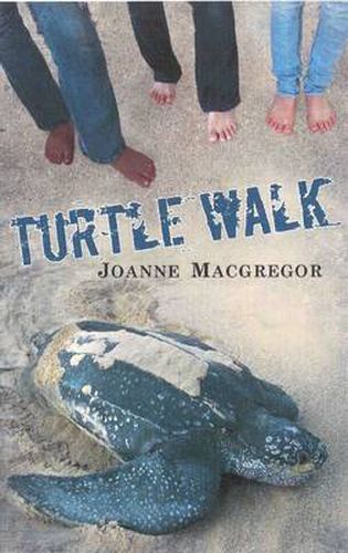 Cover image for Turtle Walk