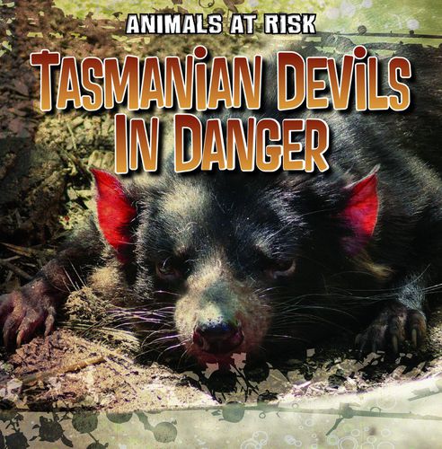 Cover image for Tasmanian Devils in Danger