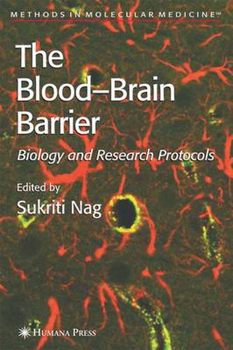 Cover image for Blood'Brain Barrier: Biology and Research Protocols
