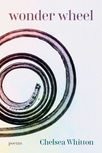 Cover image for Wonder Wheel