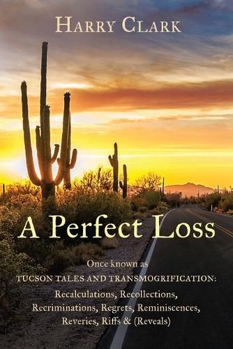 Cover image for A Perfect Loss