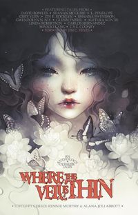 Cover image for Where the Veil Is Thin