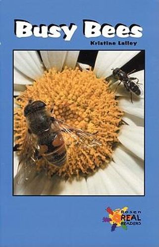 Cover image for Busy Bees