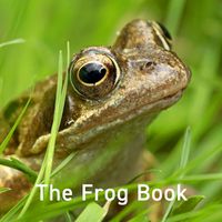 Cover image for The Frog Book