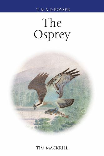 Cover image for The Osprey