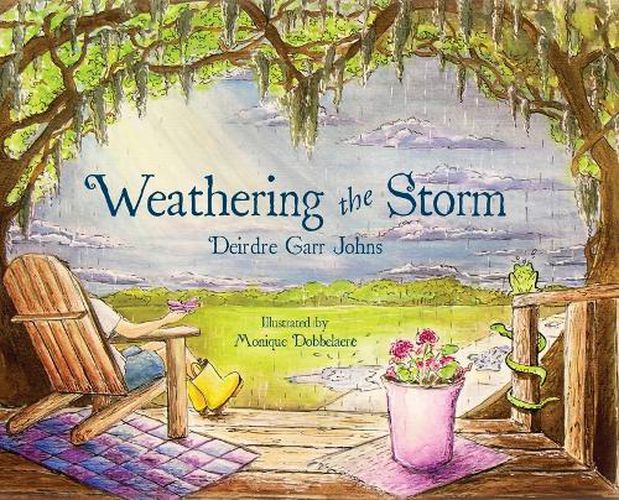 Cover image for Weathering the Storm