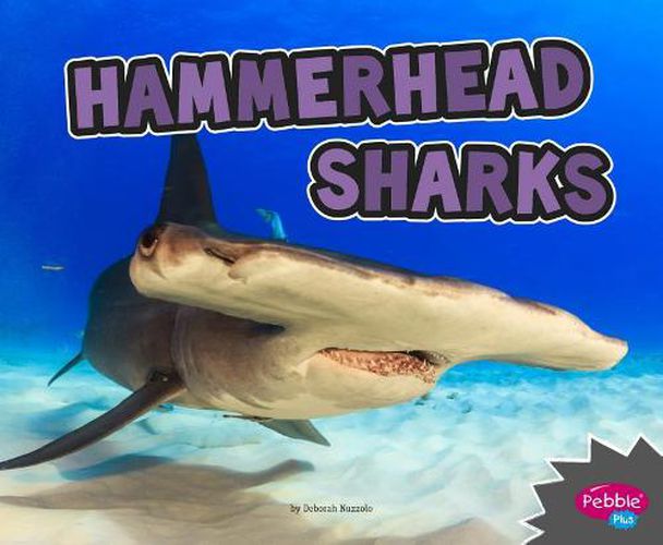 Cover image for Hammerhead Sharks