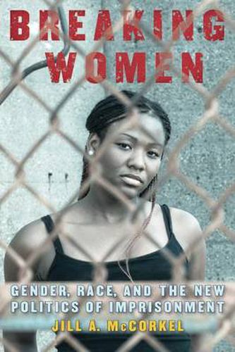 Cover image for Breaking Women: Gender, Race, and the New Politics of Imprisonment