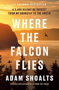 Cover image for Where the Falcon Flies