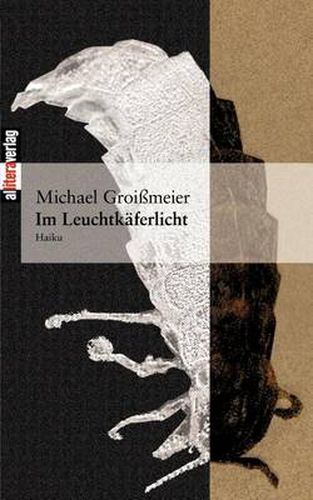 Cover image for Im Leuchtkaferlicht