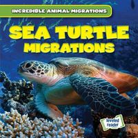 Cover image for Sea Turtle Migrations