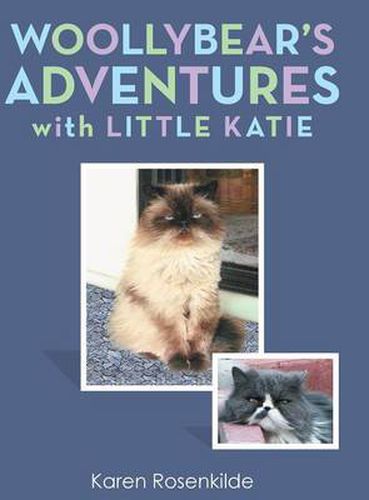 Cover image for Woollybear's Adventures with Little Katie