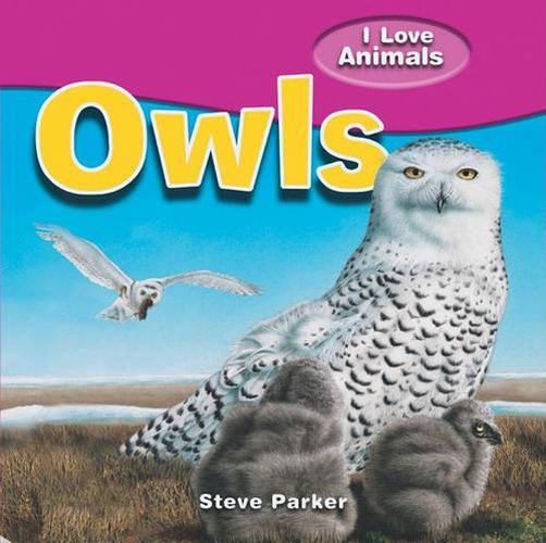 Cover image for Owls