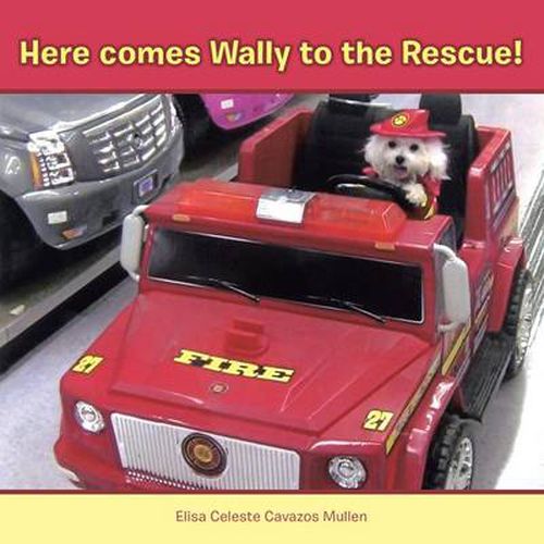 Cover image for Here Comes Wally to the Rescue!