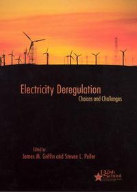 Cover image for Electricity Deregulation: Choices and Challenges