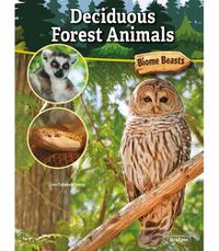 Cover image for Deciduous Forest Animals