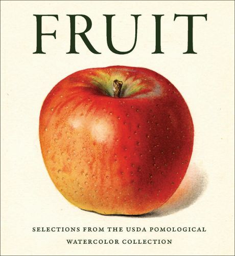 Cover image for Fruit: Selections from the USDA Pomological Watercolor Collection