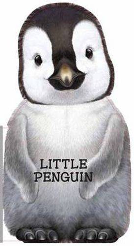 Little Penguin: Mini Look at Me Books