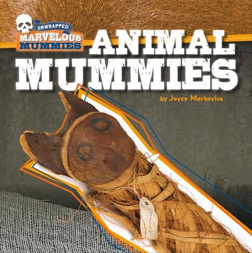 Cover image for Animal Mummies