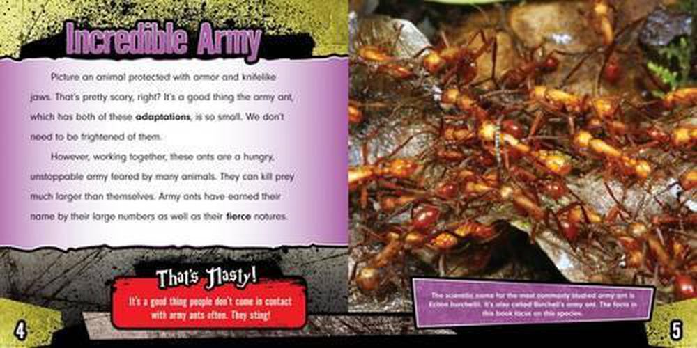 Cover image for Army Ants