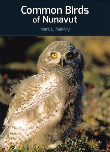 Cover image for Common Birds of Nunavut