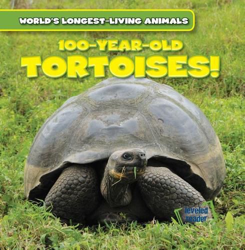 Cover image for 100-Year-Old Tortoises