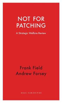 Cover image for Not for Patching: A Strategic Welfare Review