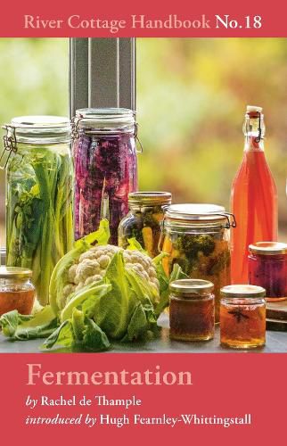 Cover image for Fermentation: River Cottage Handbook No.18