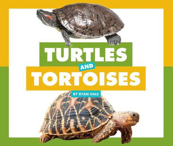 Cover image for Turtles and Tortoises