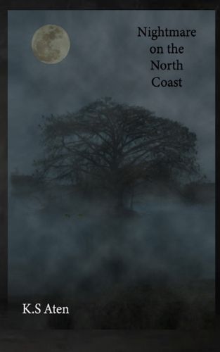Cover image for Nightmare on the North Coast