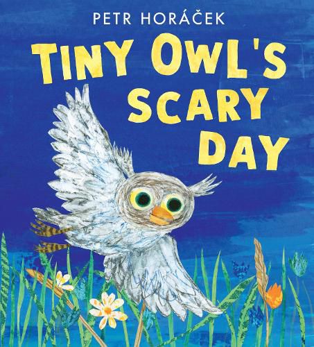 Cover image for Tiny Owl's Scary Day