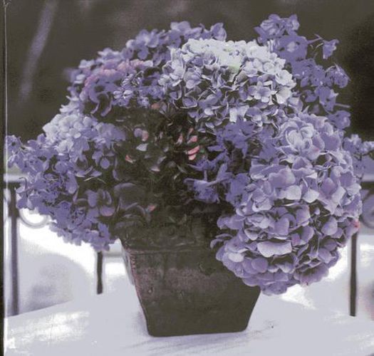 Cover image for Hydrangea Memo Cube Plus Greeting Cards and Envelope