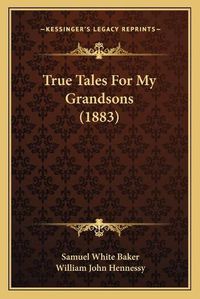 Cover image for True Tales for My Grandsons (1883)