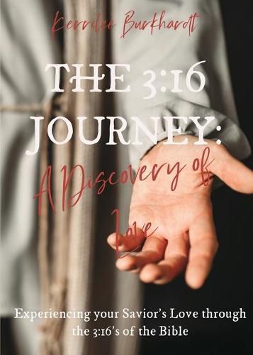 Cover image for The 3: 16 Journey: A Discovery of Love