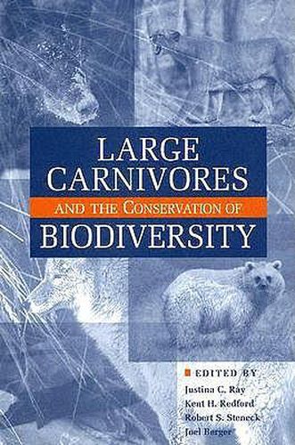 Cover image for Large Carnivores and the Conservation of Biodiversity