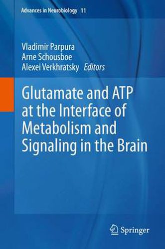 Cover image for Glutamate and ATP at the Interface of Metabolism and Signaling in the Brain