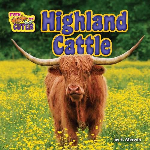 Cover image for Highland Cattle