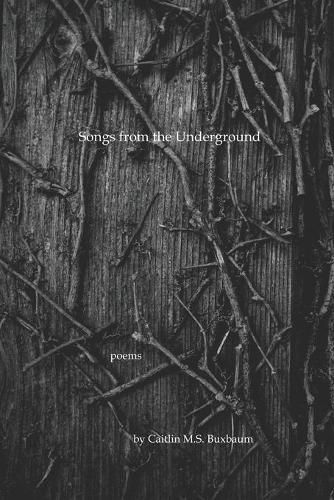 Cover image for Songs from the Underground