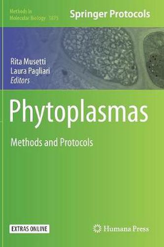 Cover image for Phytoplasmas: Methods and Protocols