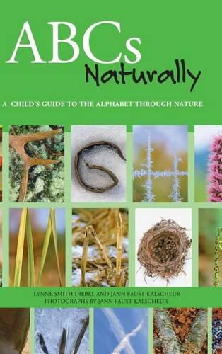 Cover image for ABCs Naturally: A Child's Guide to the Alphabet Through Nature